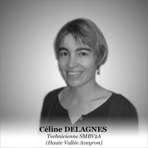 Celine 2