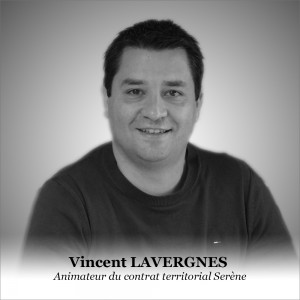Vincent L 2